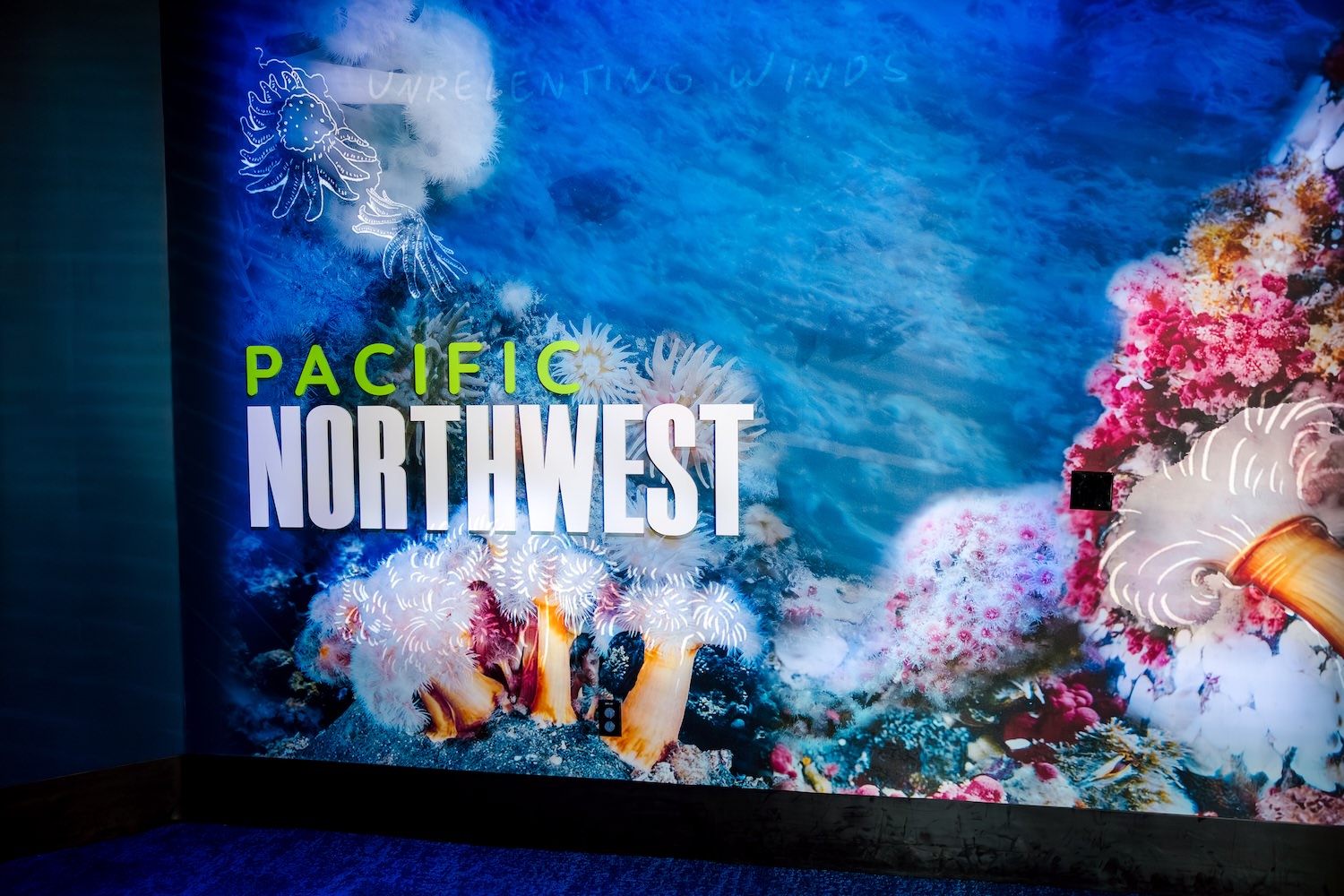 Pacific Northwest exhibit entrance