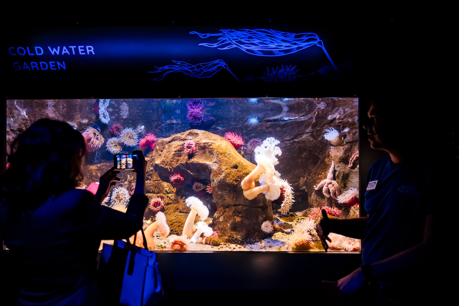 Visitors silhouetted in front of the Cold Water Garden