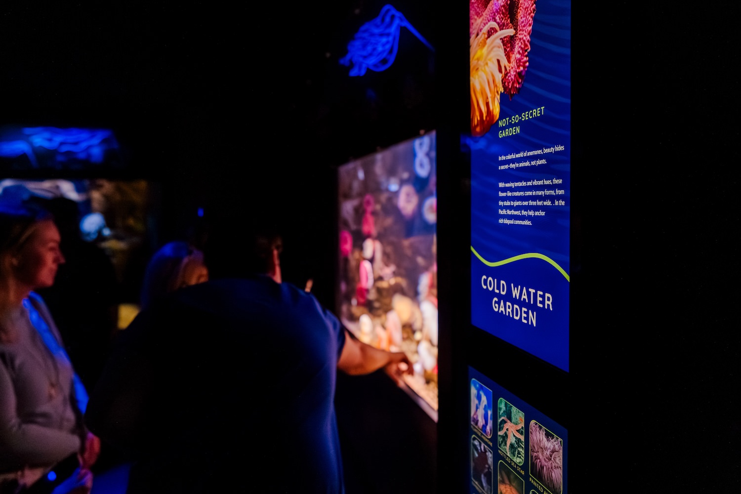 Cold Water Garden informational signage