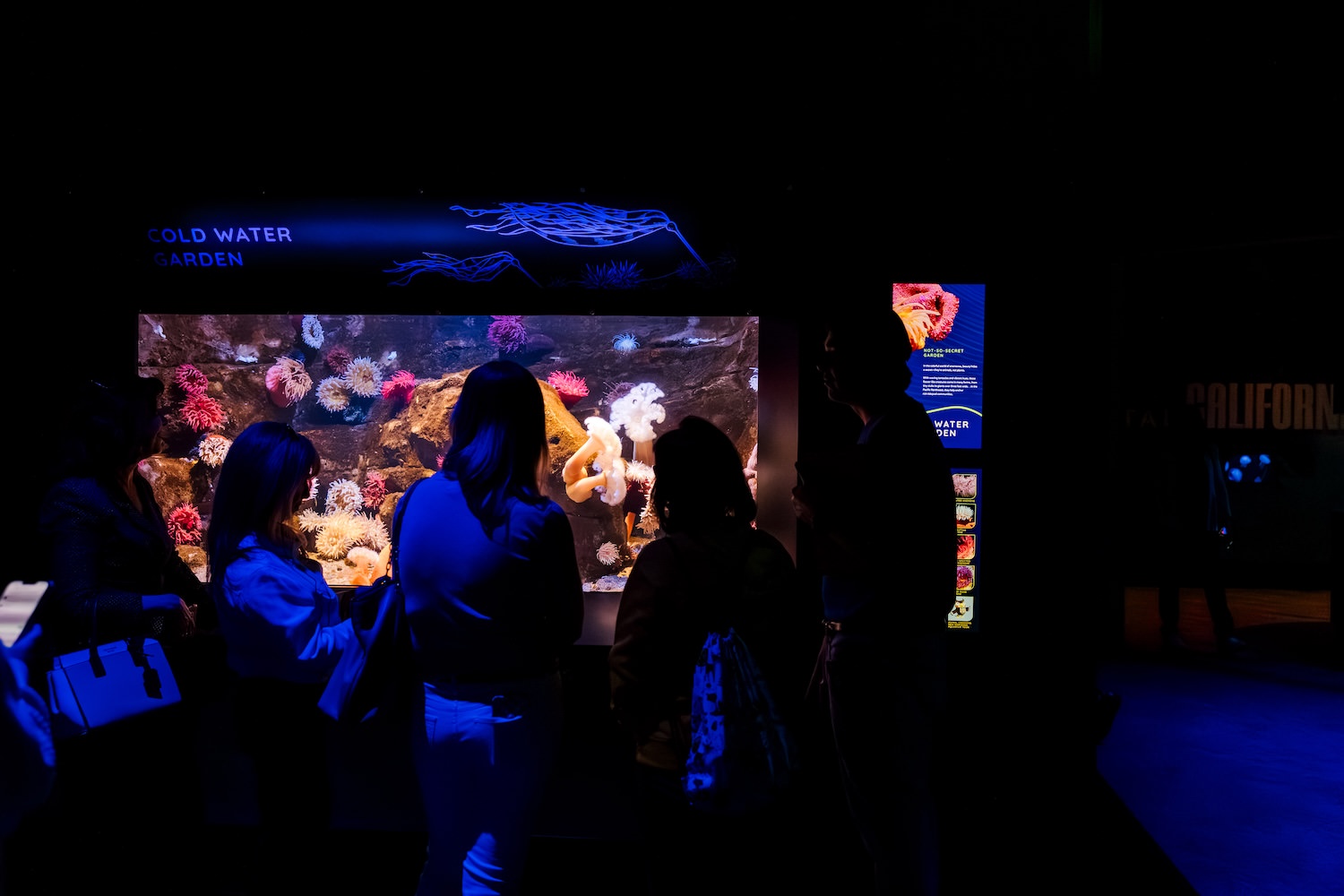 Visitors silhouetted against the Cold Water Garden tank