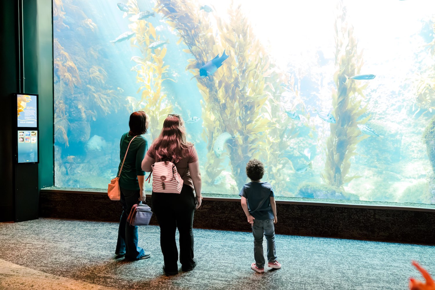 Family standing in front of the enormous kelp forest tank