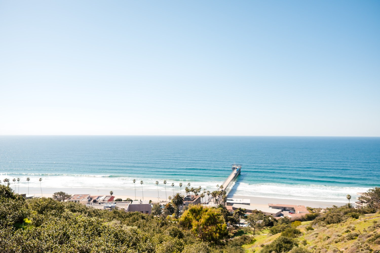 Panoramic view of La Jolla Shores beach and Scripps Pier from the Birch Aquarium terrace