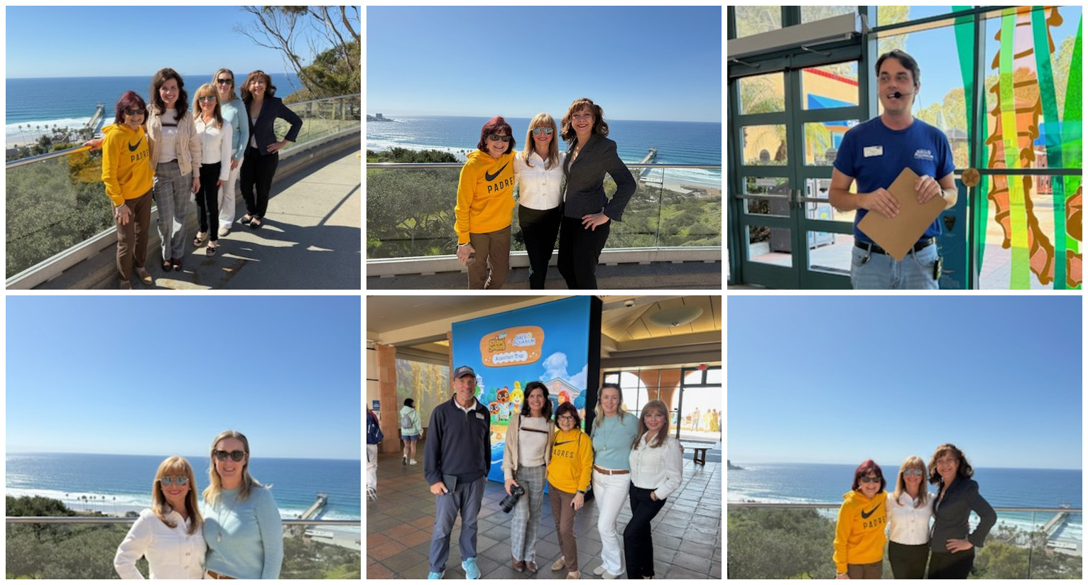 Photo collage from Birch Aquarium's Living Seas exhibit