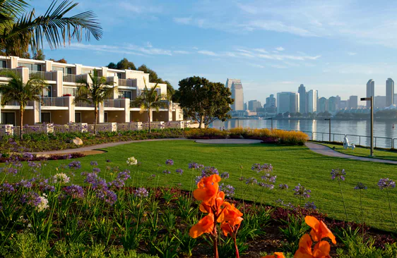 The spacious open grounds and walking paths at Coronado Island Marriott Resort with lush landscaping