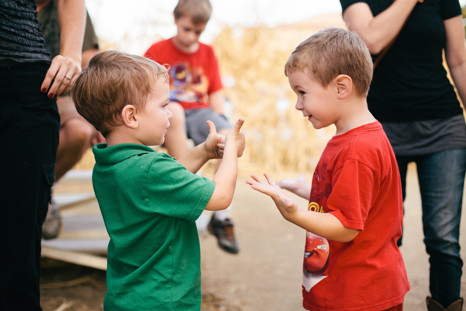 Two small boys facing off with raised hands beside the corn maze at Oma’s Family Farm