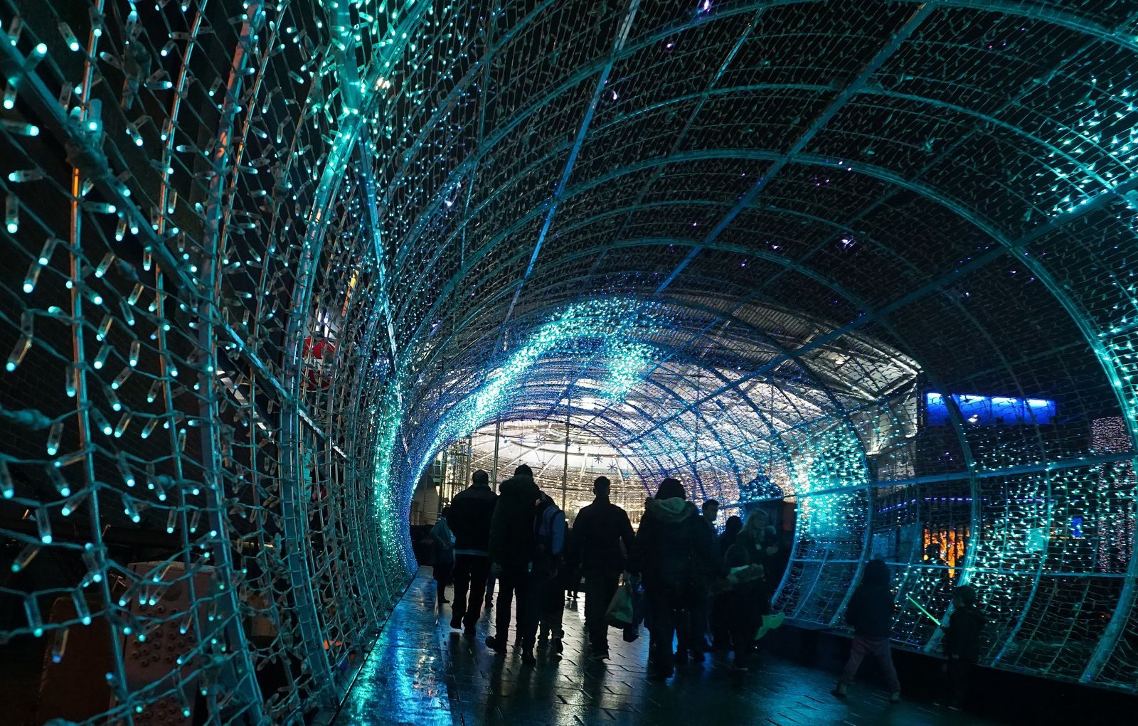 People walking through a tunnel of blue and white holiday lights
